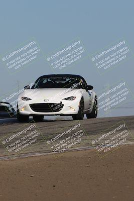 media/Nov-24-2023-Speed SF (Fri) [[8629a6e656]]/Gold/Session 2 (Grapevine)/